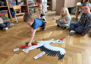 Dzieci poznają budowę bociana.