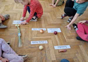 Dzieci dopasowują cebulę do napisu.