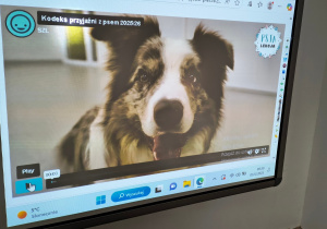 Wyświetlona prezentacja multimedialna - Kodeks przyjaźni z psem.