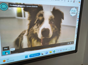 Program „Psia lekcja" Stowarzyszenia Zwierzęta Ludziom. Kodeks przyjaźni z psem 2025/2026