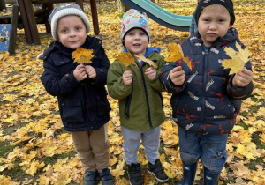 Chłopcy z grupy II trzymają liście.