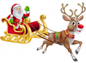 Świąteczna sesja zdjęciowa