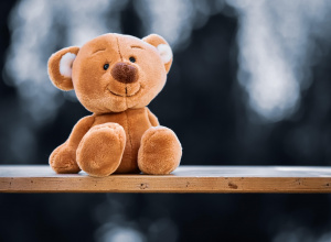 Podziękowanie za udział w akcji Dzień pluszowego misia