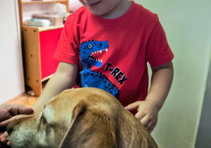 Dziecko głaszcze psa.