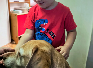 Straż Miejska - zajęcia edukacyjne