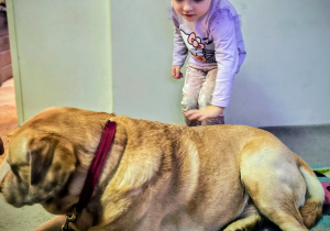 Dziecko głaszcze psa.