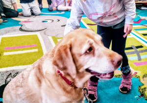 Dziecko głaszcze psa.