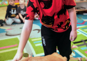 Dziecko głaszcze psa.