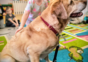 Dziecko głaszcze psa.