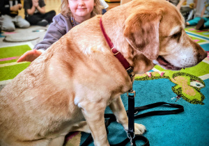 Dziecko głaszcze psa.