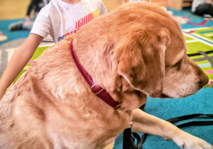 Dziecko głaszcze psa.