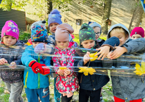 Dzieci przyklejają liście do folii.
